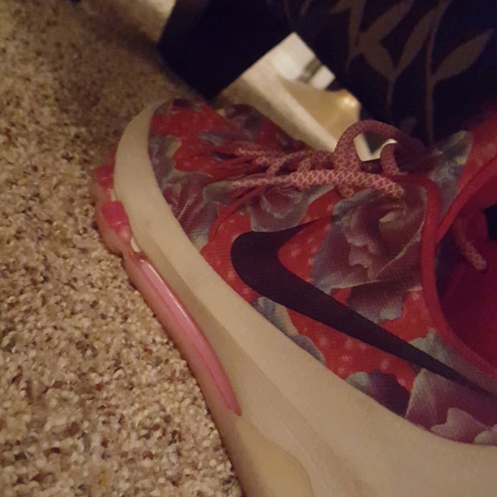 Meet your Posher, Shane